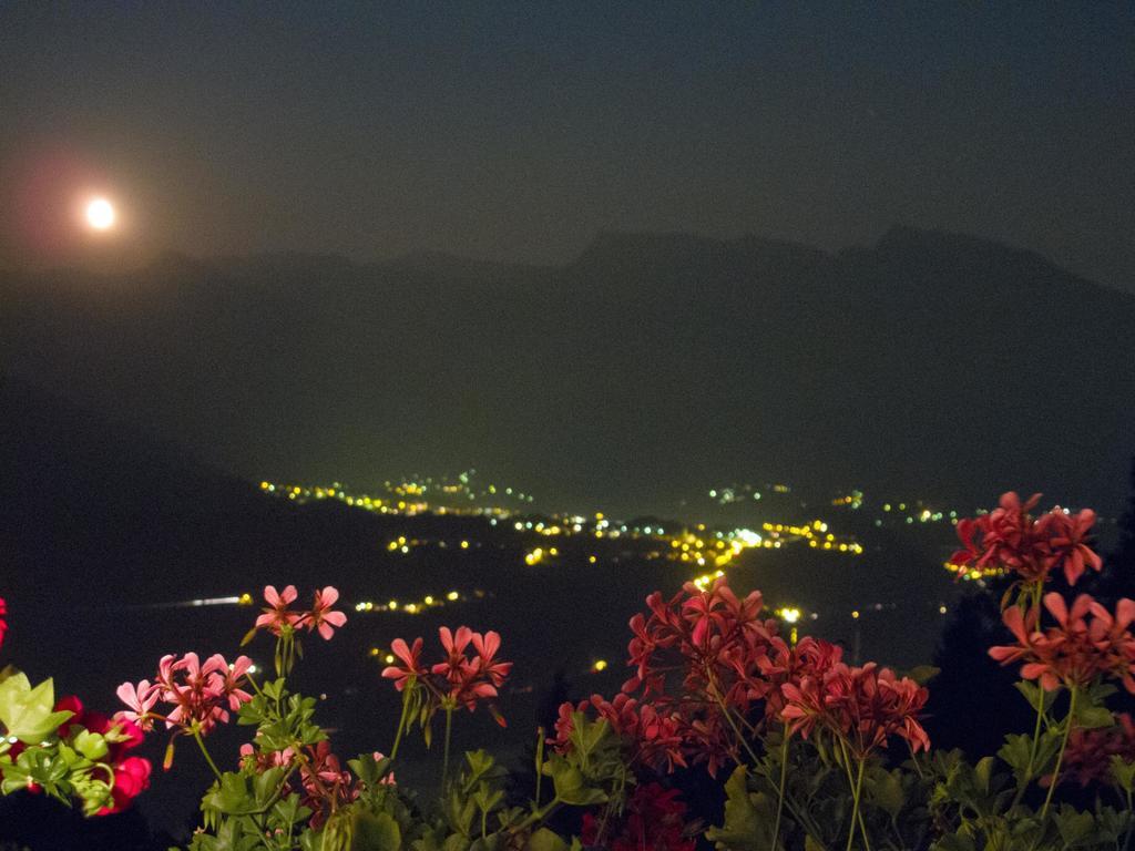 B&B Alba Sul Lago Pergine Valsugana Esterno foto