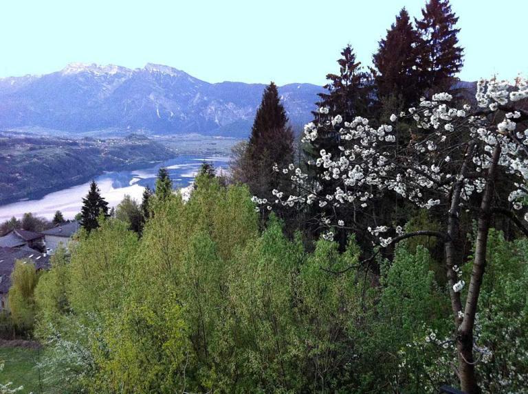 B&B Alba Sul Lago Pergine Valsugana Esterno foto