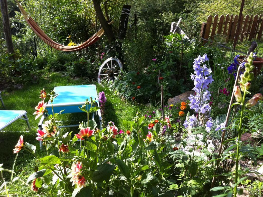 B&B Alba Sul Lago Pergine Valsugana Esterno foto